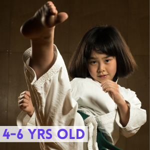 4-6 years old Kids Martial Arts Classes