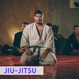 brazilian jiu jitsu martial arts